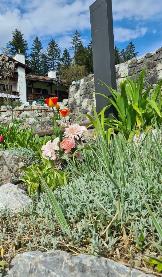 Alpenchalet Zum Jeremia Grainau Ngoại thất bức ảnh